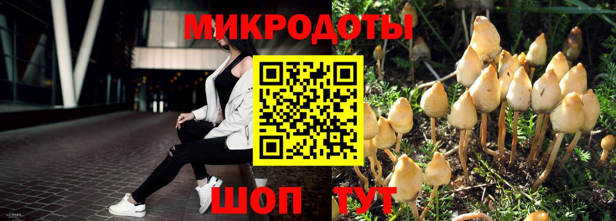 Галлюциногенные грибы прущие грибы Минусинск